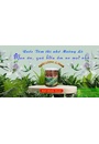 Ruốc tôm ban trắng
