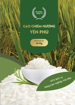 Gạo chiêm hương Yên Phú