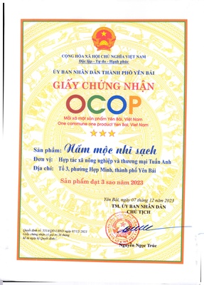 Nấm mộc nhĩ sạch