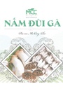 Nấm đùi gà