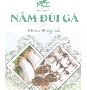 Nấm đùi gà