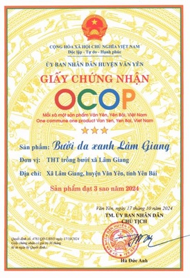 Bưởi da xanh Lâm Giang