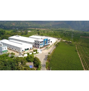 Kẹo C táo mèo Shan Thịnh