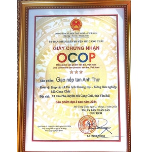 Gạo nếp tan Anh Thơ