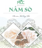 Nấm Sò