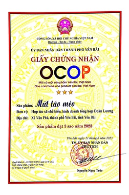 Mứt Táo Mèo