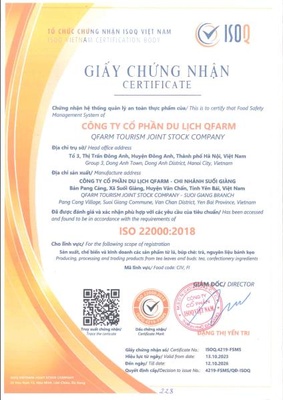 SUGITEA - Bạch trà shan tuyết cổ thụ Suối Giàng