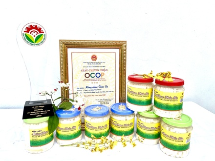 Măng chua Thác Bà