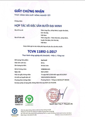 Bưởi đặc sản Đại Minh