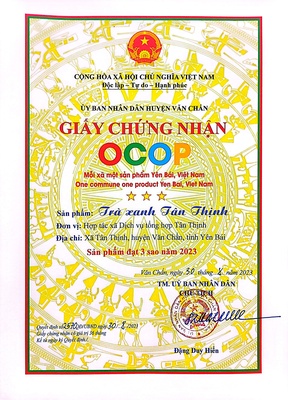 Trà xanh - Tân Thịnh