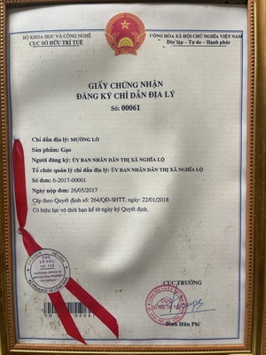 Gạo Séng Cù Mường Lò
