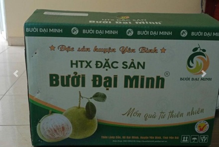 Bưởi đặc sản Đại Minh