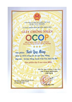 Bưởi Quy Mông