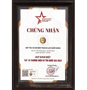 Hồng trà shan tuyết cổ thụ suối giàng - Cơi trà Sugi Tea
