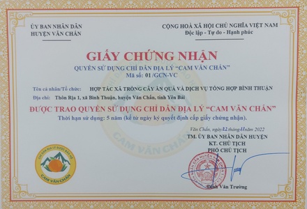 Cam đường canh Văn Chấn