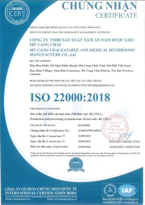 Nấm Sò