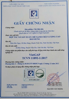 Thanh liên trà