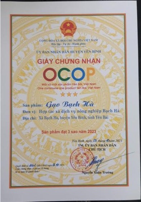 Gạo Bạch Hà