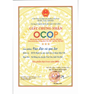 Cao đặc cà gai leo