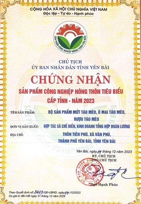 Mứt Táo Mèo