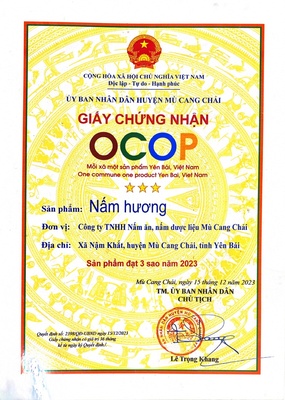 Nấm hương