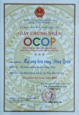 Mật ong hoa rừng Động Quan