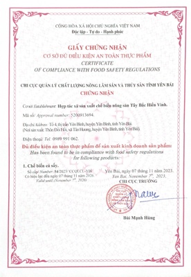 Cá rô lọc xương sấy hồ Thác Bà Hiền Vinh